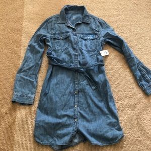 Gap Girls Denim Dress NWT Size XL Regular